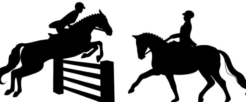 Profilbild vom Reit- und Fahrverein Ostönnen e. V.