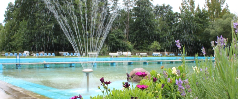 Profilbild vom Sport- und Traditionsverein Meinsdorf e.V.